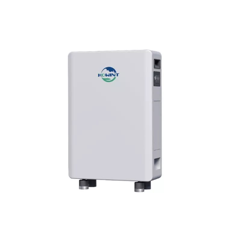 Kowint Energy 16kWh 51.2V Wall Mount Battery System
