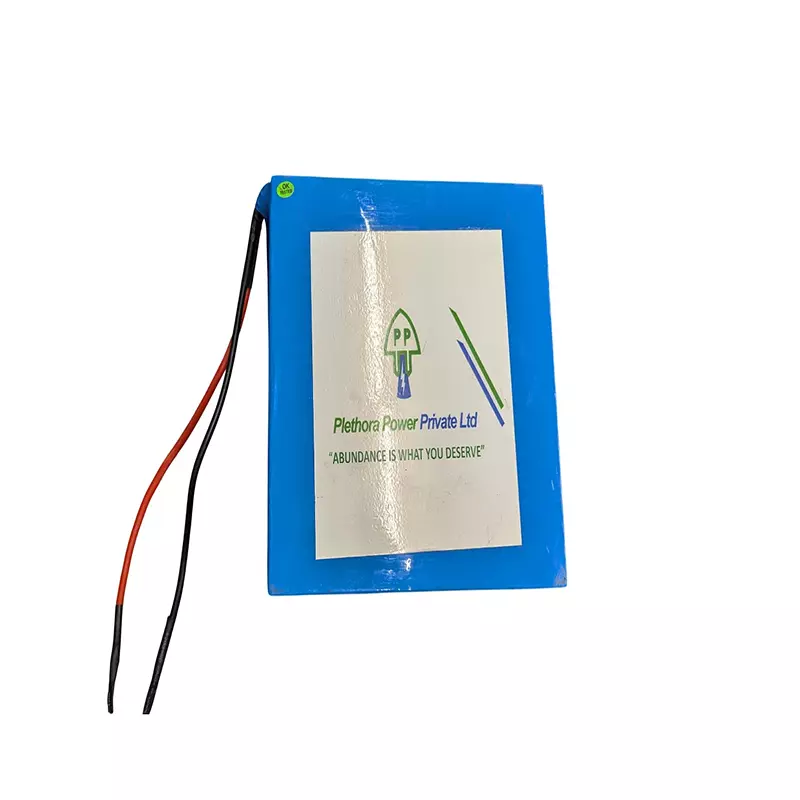 Plethora Power 1.8kWh 37V Lithium Ion Battery